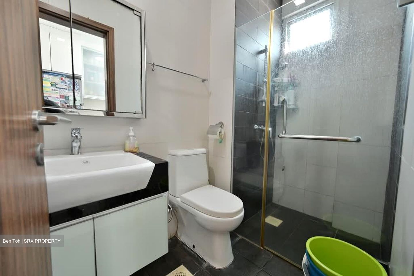 Parc Rosewood (D25), Condominium #598849571
